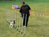 /album/agility-sanca/cvikov-079-jpg1/